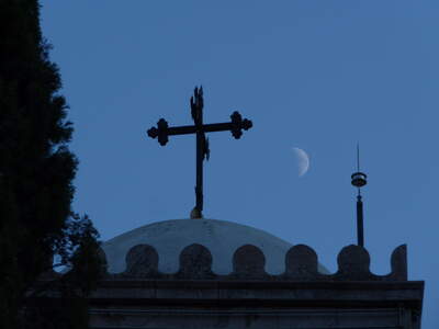 Magic Moonrise